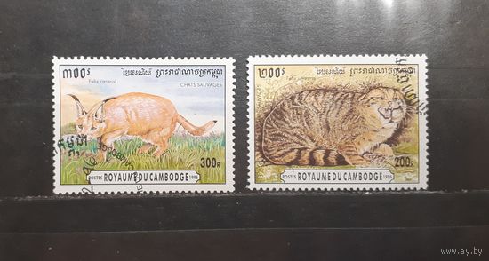 Камбоджа. 1996 год. Фауна. Дикие кошки (715)