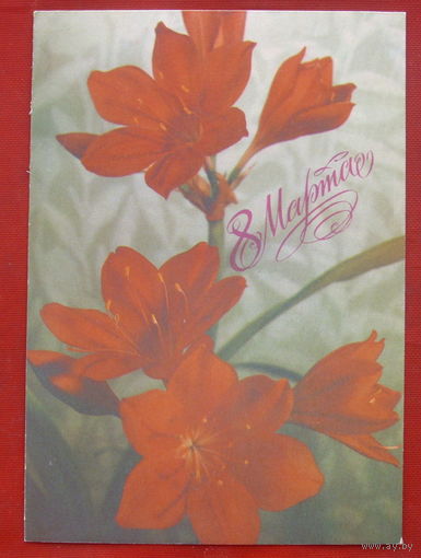 8 марта! Чистая. 1988 года. Геодакова. 953.