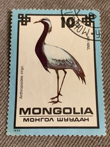 Монголия 1979. Птицы. Anthropoides Virgo. Марка из серии