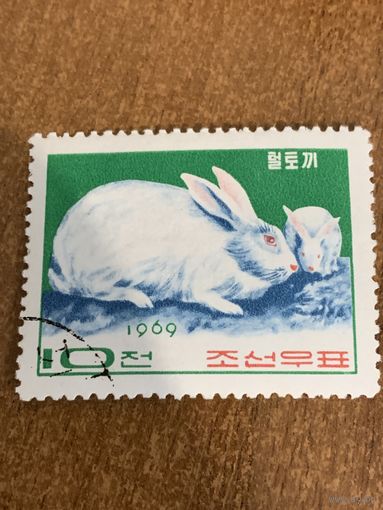 КНДР 1969. Кролики. Марка из серии