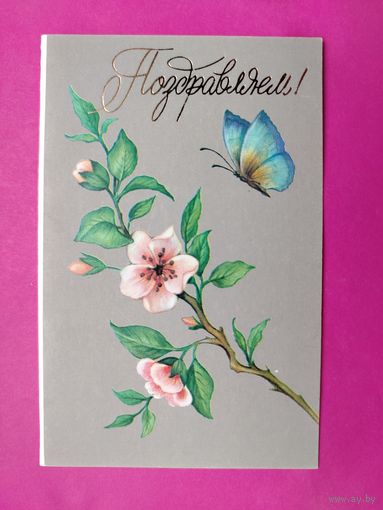 Поздравляем! Чистая. Двойная. 1989 года. Коробова. 2589.