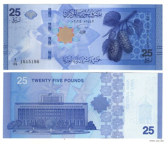 Сирия 25 фунтов 2025  год UNC (деноминированные)  НОВИНКА