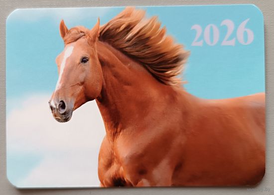 Лошадь. Календарик, глянец, 2026. Траско