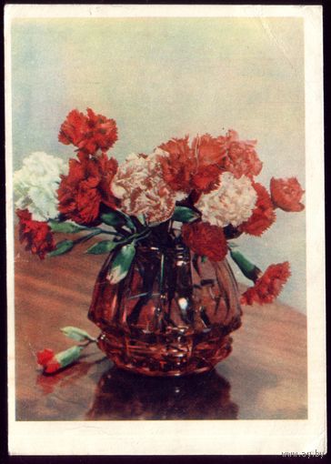 1955 год И.Шагин Букет гвоздики