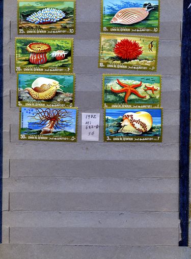 УМ АЛЬ КВАЙН, 1972, морская фауна, серия 8м, чистая