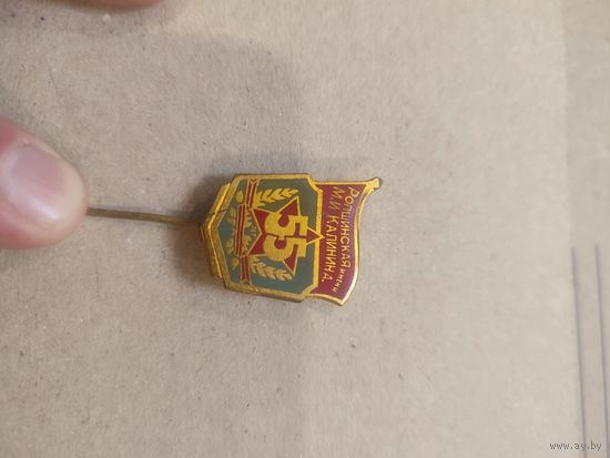 Ропшинская дивизия, 55 лет