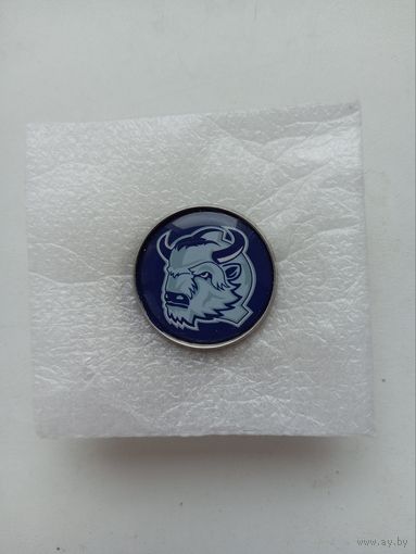 Динамо Молодечно ХК  цанга