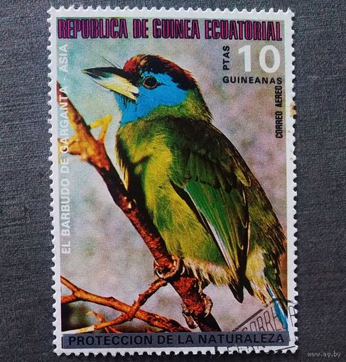 Марка Экваториальная Гвинея 1976 год Птицы