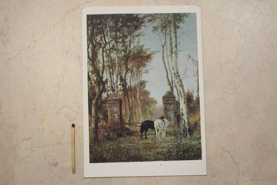 Почтовая карточка,1956
