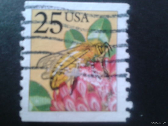 США 1988 стандарт, пчела