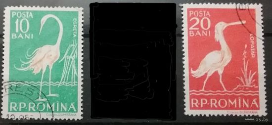 Марки Румыния 1958. Фауна 2 марки из серии.