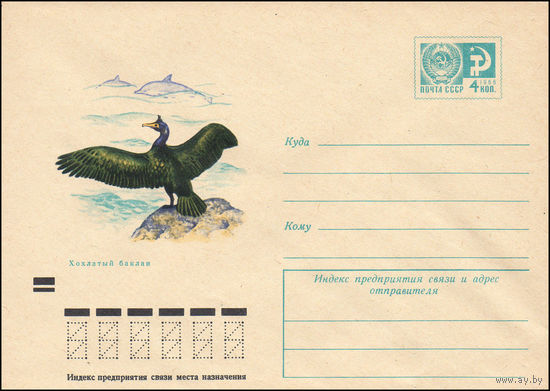 Художественный маркированный конверт СССР N 7901 (02.11.1971) Хохлатый баклан