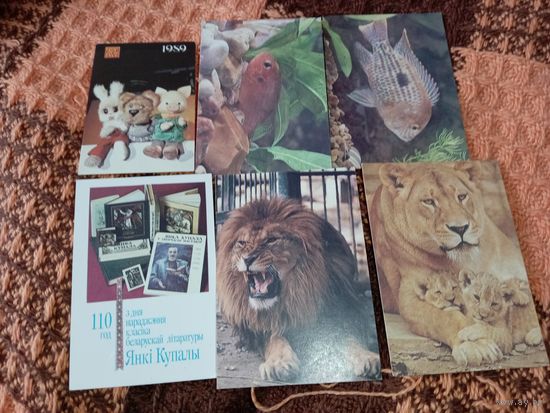 6 календариков