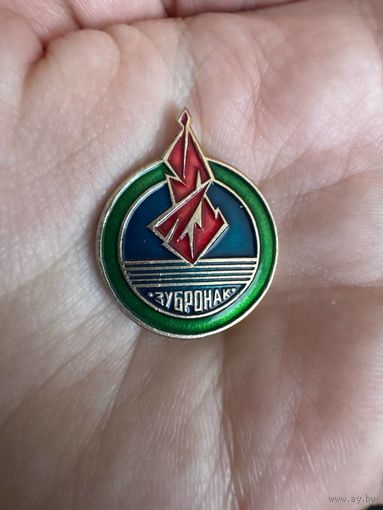 Зубронак значок ЗУБРЁНОК