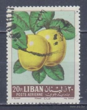 [2428] Ливан 1962. Флора.Фрукты.Плоды.Яблоки. Гашеная марка. 1