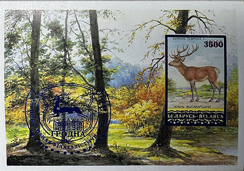 Разновидность почтовой марки "V Национальная филателистическая выставка "Белфила-2006". Олень благородный"