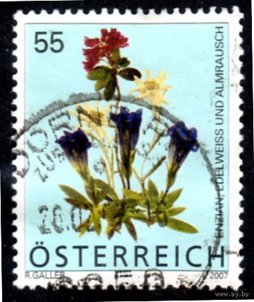 Австрия.Ми-2631. Альпийские цветы: Gentiana, Leontopodium alpinum, Rhododendron. 2007.