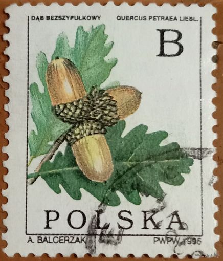 Польша 1995. Лист дуба и жолудь