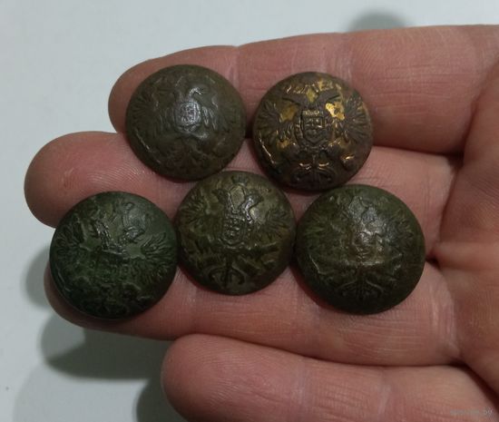 Пуговицы 5шт.