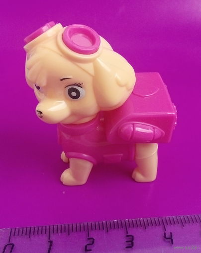 Собака. 10.