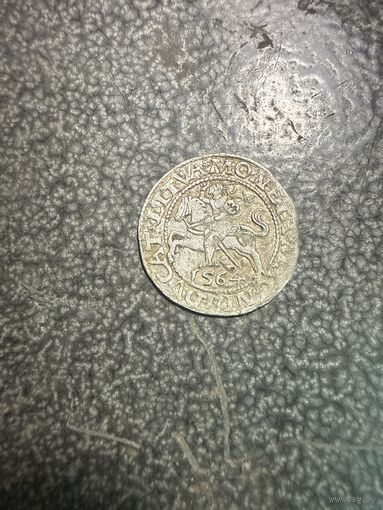 Полугрош 1564