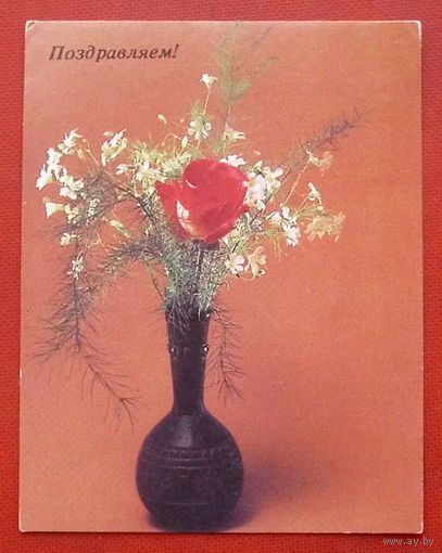 Поздравляем. Чистая. 1988 года. Савалова. Мини.