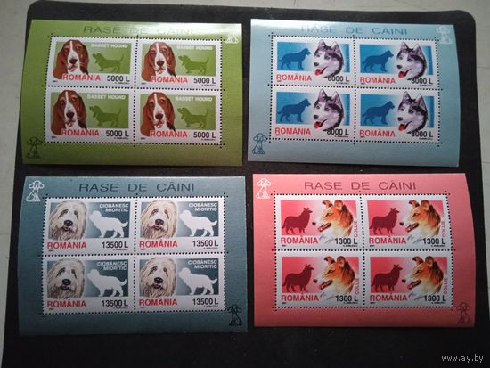 Румыния собаки 4 МЛ