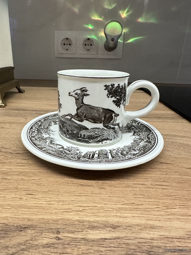 Чайная пара Villeroy and Boch Anjou. Европа много Лотов с рубля
