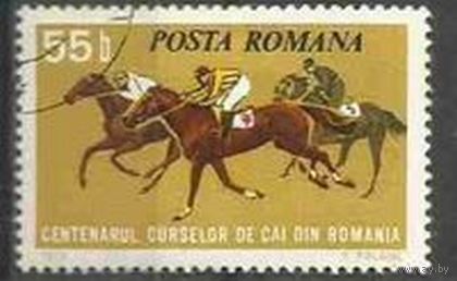 Марка Румыния. 1974. 100-летие скачек. 1марка из серии