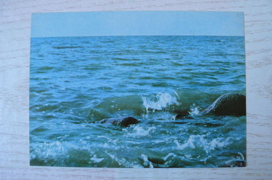 Прибалтика, Латвийская ССР, Море у Айнажи; чистая.