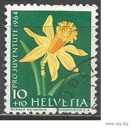 Швейцария. Цветы. Нарциссы. 1964г. Mi#804.