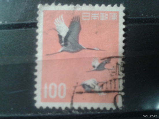 Япония, 1963. Журавли