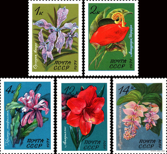 Тропические и субтропические растения СССР 1971 год (4080-4084) серия из 5 марок