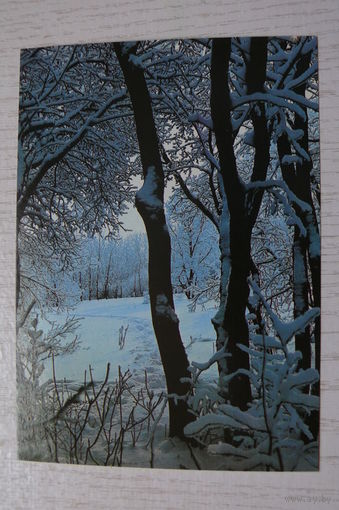 Скачков Б., Зимы узоры; 1983, чистая.