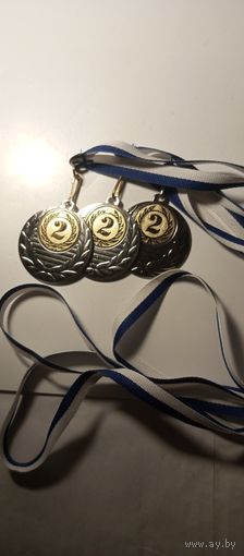 Медаль Представительство НОК РБ Спартакиада АП РБ 2010 Серебро