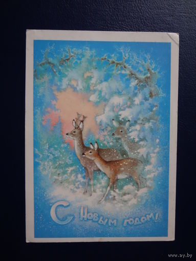 С Новым годом!  1979 г.  Косули.  подписанная