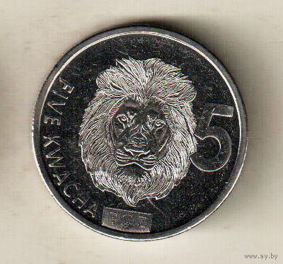 Замбия 5 квача 2024