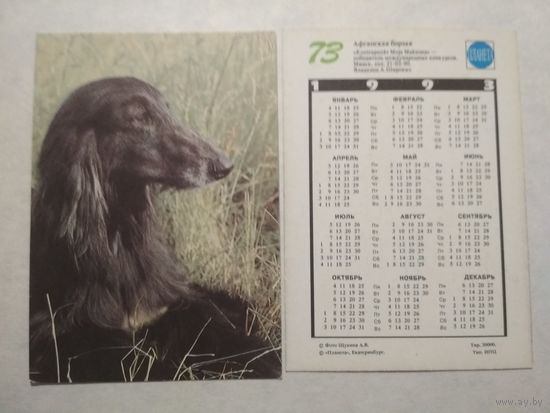 Карманный календарик. Собака.1993 год