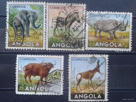 Ангола, колония Португалии, 1953. Фауна