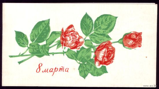 1972 год 8 марта Пинск
