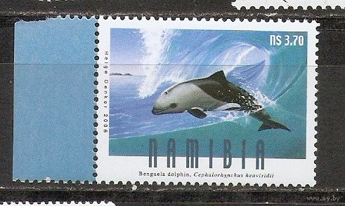 КГ Намибия Касатка