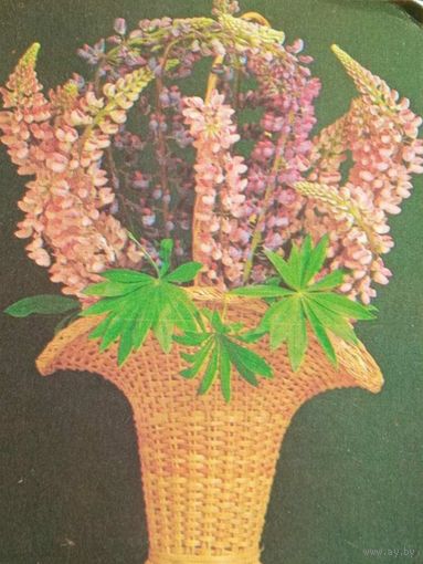Мини - открытка, 1989