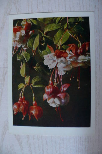Цветы; подписана (изд. Германия).