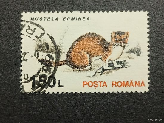 Румыния 1993. Животные. Горностай