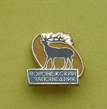 Воронежский заповедник. 0086.