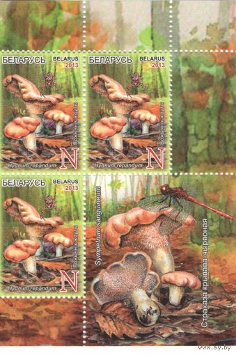 Марка РБ N977 (2013) Флора,  Ежовик жёлтый, 3 марки N  +купон