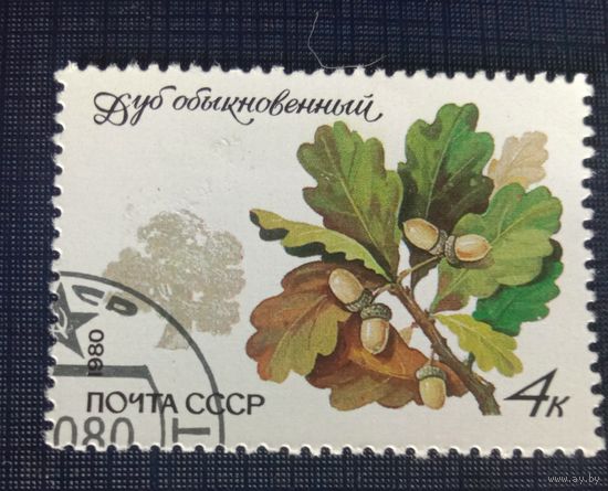 Марка СССР 1980 Дуб