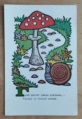 Сенновский Б. Гриб. 1969 г. Чистая.