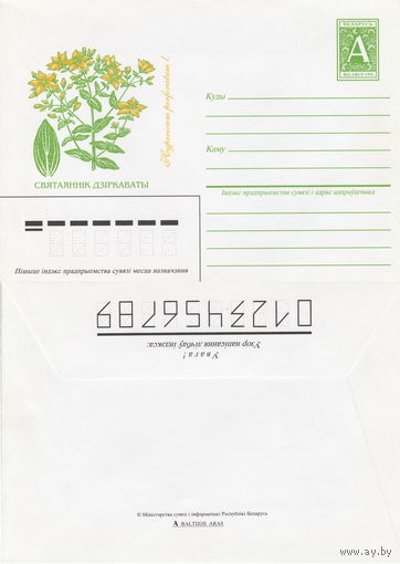 Беларусь 1996 Святаяннiк дзiркаваты. Зверобой дырчатый (к4)