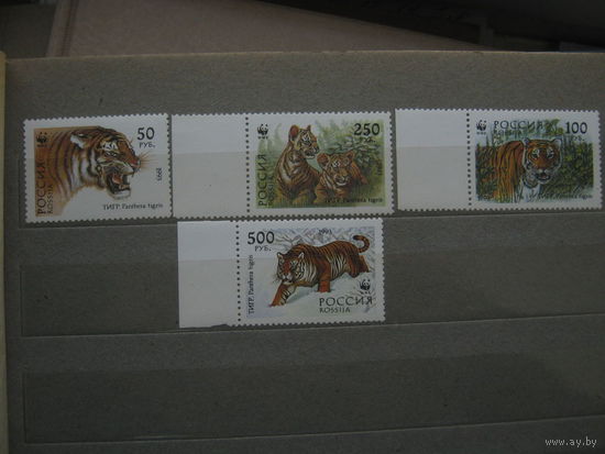 Марки - Россия, 1993, фауна, тигры